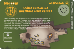 Actividad 6 –Hormigas y sus crias Versión WeDo 2.0